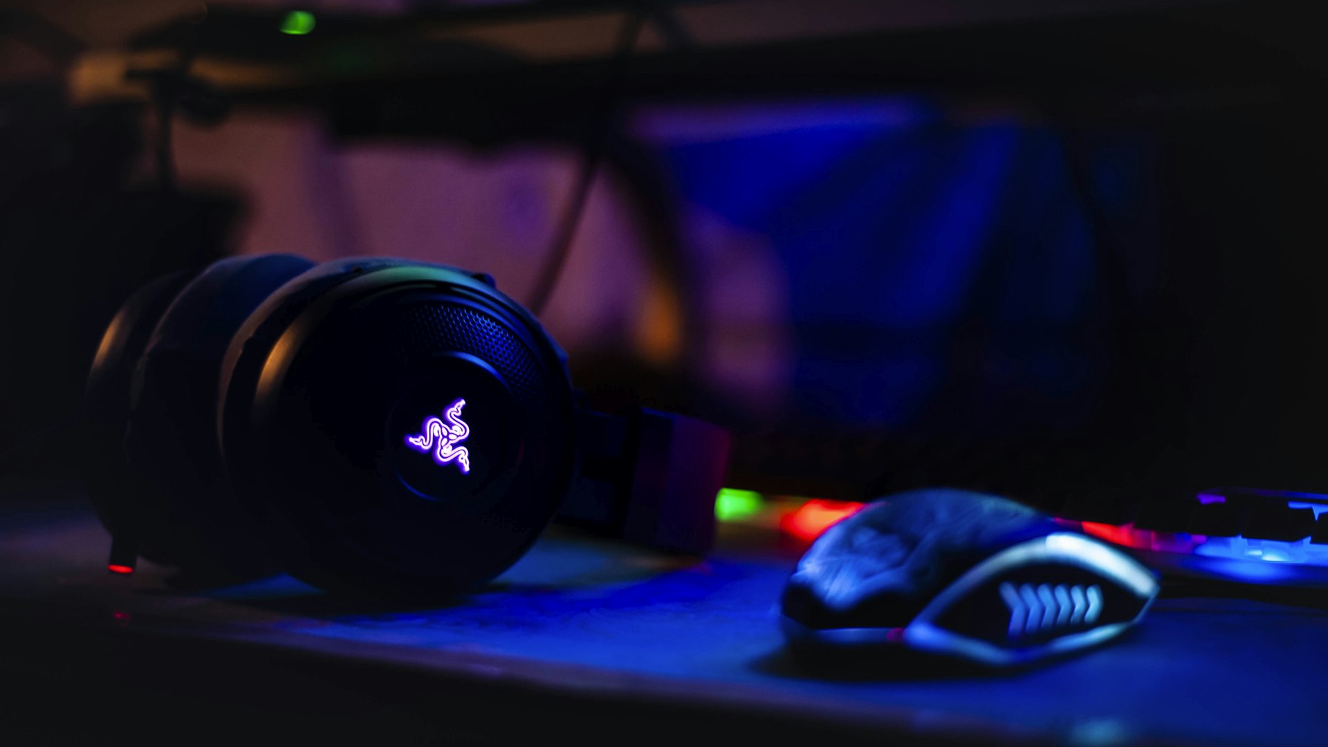Gamers competing at SavageLootWarriors studio